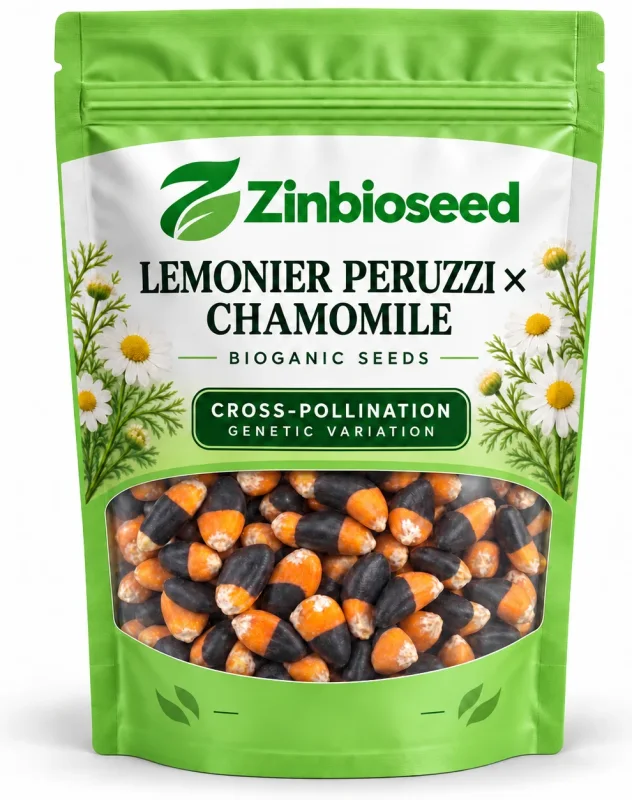 Zinbioseed pack of Lemonier Peruzzi × Chamomile Bioganic Seeds